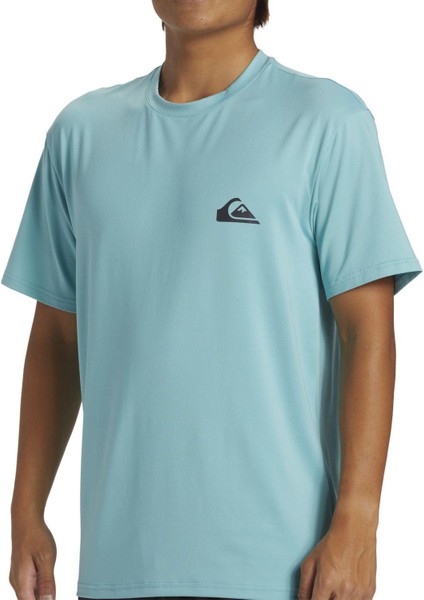 Quıksılver Everyday Surf Tee Ss Erkek T-Shirt AQYWR03135-QK.BHA0