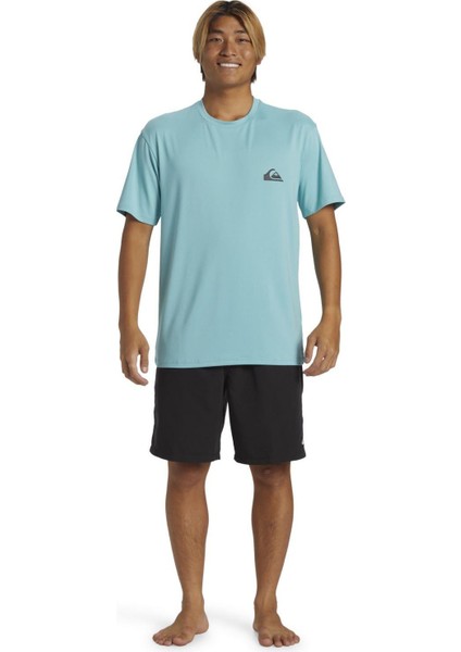 Quıksılver Everyday Surf Tee Ss Erkek T-Shirt AQYWR03135-QK.BHA0