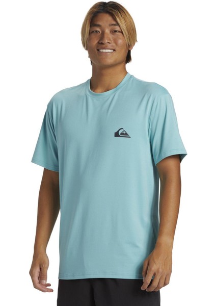 Quıksılver Everyday Surf Tee Ss Erkek T-Shirt AQYWR03135-QK.BHA0