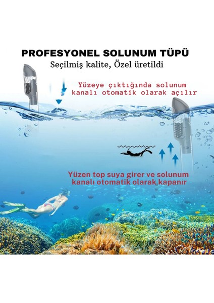Profesyonel Yüzme Palet Gözlük Dalış Seti 38-47 Ayaklar Için Kaliteli Yüzme Dalış Dalma Balık Seti
