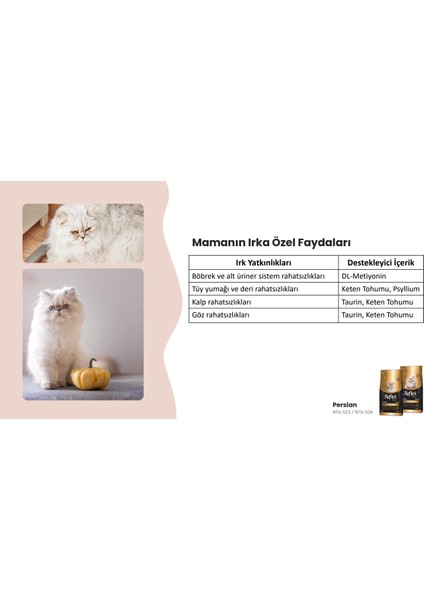 Plus Persian Yavru Kedi Maması 1.5 kg