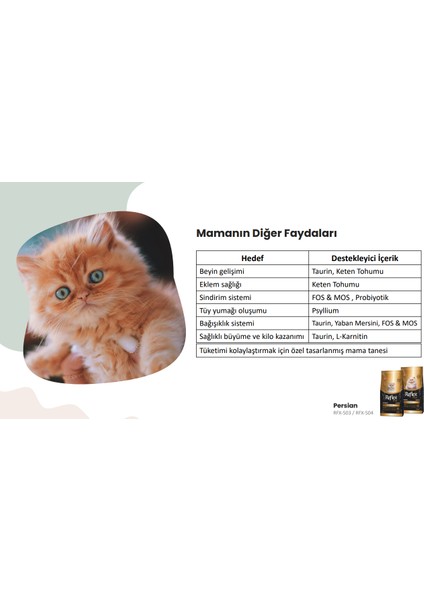 Plus Persian Yavru Kedi Maması 1.5 kg