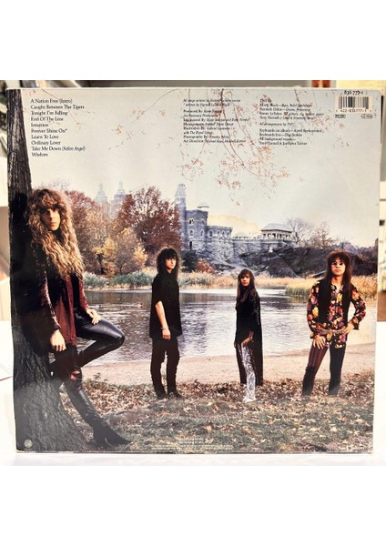 Tnt - Intuition 1989 Baskı Hard Rock Lp - Plak