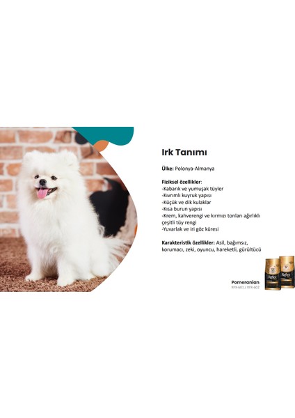 Plus Pomeranian Yetişkin Köpek Maması 2 kg