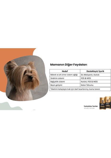 Plus Yorkshire Terrier Yetişkin Köpek Maması 2 kg