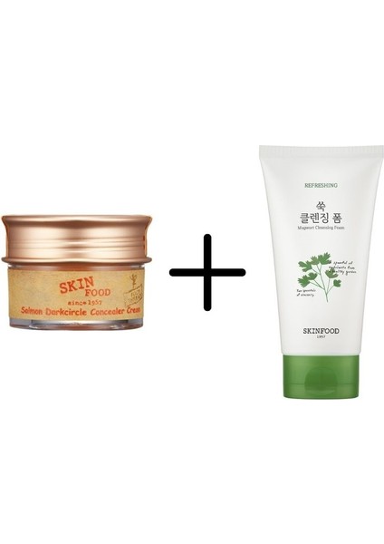 Salmon Concealer (2) + Vege Garden Cleansing Foam MUGWORT 150ML