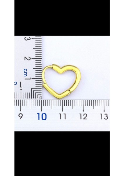 Charm Kalp Şeklinde Altın Kaplama Çelik Küpe Kadın Zarif Takı fiyatları