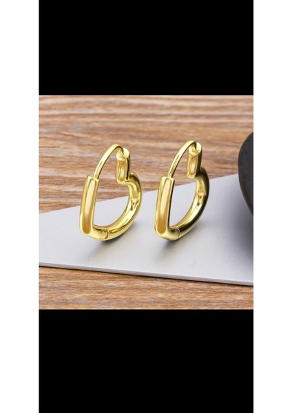 Charm Kalp Şeklinde Altın Kaplama Çelik Küpe Kadın Zarif Takı indirimleri