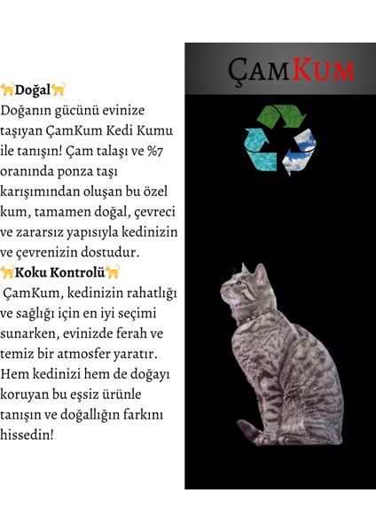 ÇamKum Star Tozsuz ve Topaklanan Doğal Kedi Kumu 7+7 Lt