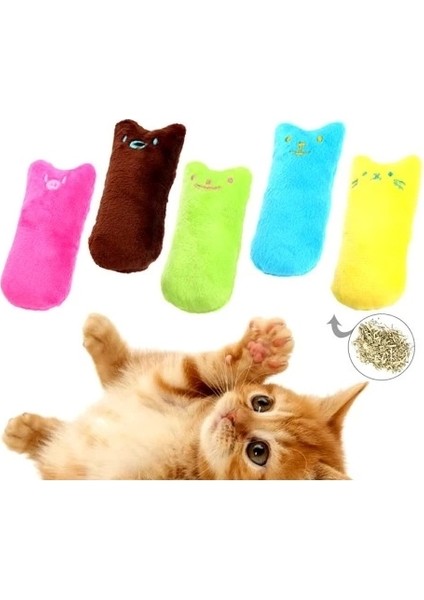 Kedi Otu Dolgulu Renkli Peluş Oyuncak