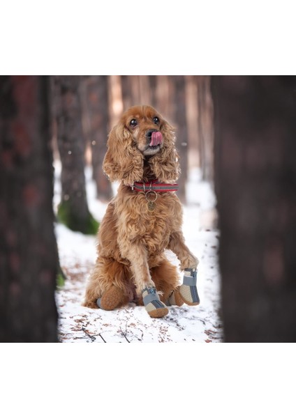 Köpek Ayakkabısı-Kahverengi Köpek Ayakkabısı-Kaydırmaz Kauçuk Taban Köpek Ayakkabısı- Reflektörlü, Fermuarlı Köpek Ayakkabısı