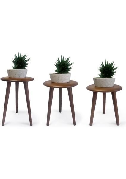 Masif Kayın Tabure Sehpa 3'lü Set Saksılık Üç Ayaklı Yuvarlak Ceviz modelleri