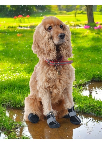 Köpek Ayakkabısı-Siyah Köpek Ayakkabısı-Kaydırmaz Kauçuk Taban Köpek Ayakkabısı- Reflektörlü Fermuarlı Köpek Ayakkabısı
