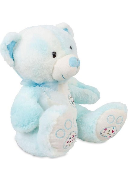 Halley Yıldızlı Peluş Ayıcık 35 Cm.
