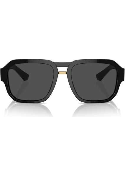 DG4464 501/8756 Erkek Güneş Gözlüğü