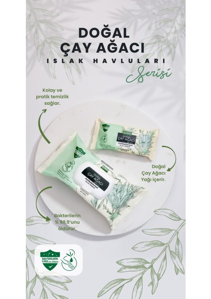 Islak Havlu Mendil 50 Yaprak (36 Lı Set) Çay Ağacı Serisi Antibakteriyel (1800 Yaprak)