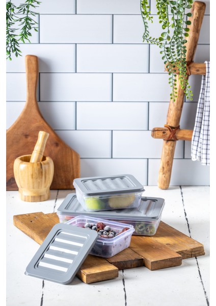 3'lü Set-2 Freshbox Mikrodalga ve Difrize Uygun Saklama Kabı Gri