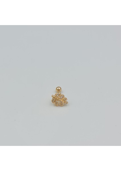 Cerrahi Çelik Taşlı Yaprak Modeli Tragus Helix Piercing Küpe fiyatları