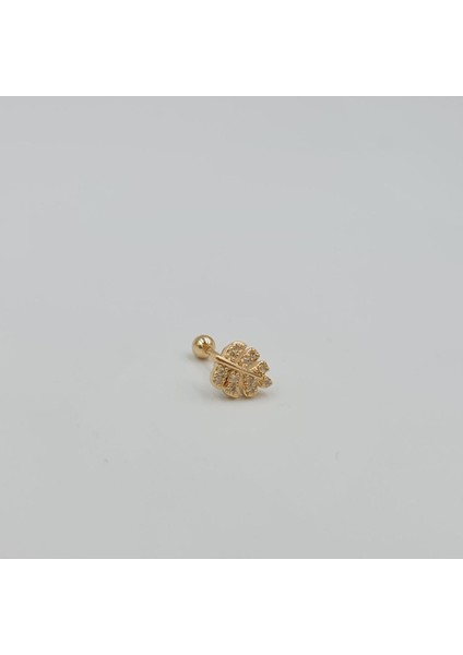 Cerrahi Çelik Taşlı Yaprak Modeli Tragus Helix Piercing Küpe modelleri