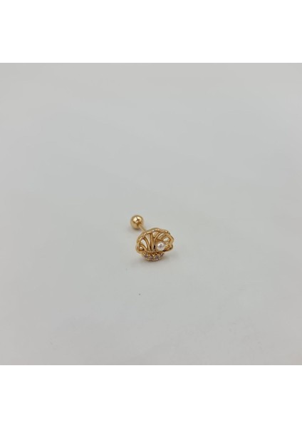 Istiridye Incili Cerrahi Çelik Küpe Tragus Helix Kıkırdak Piercing indirimleri