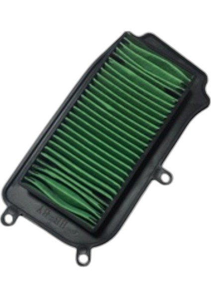 Hava Filtre Elemanı 125 Lavinia Mondial