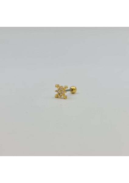Kartanesi Çelik Küpe Tragus Helix Kıkırdak Piercing