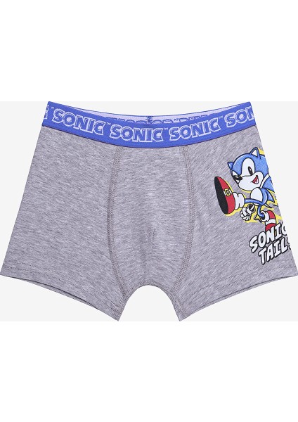 Erkek Çocuk Sonic 2li Çok Renkli Boxer