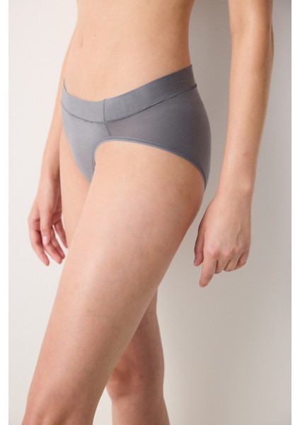 Aging Collagen French Cut Gri Slip Külot fiyatları