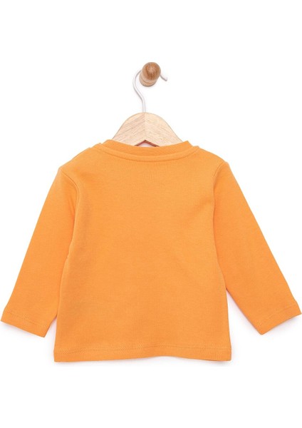 Basic Interlok Uzun Kol Tshirt Kız Bebek fiyatları