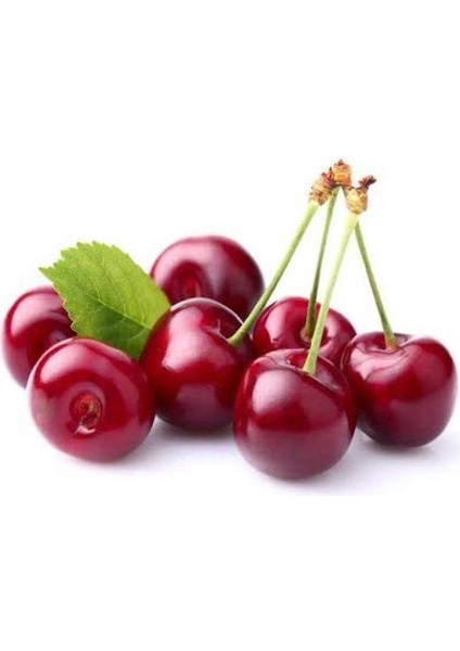 3'lü Paket Kiraz , Vişne , Beyaz Kiraz Fidanı 3 Yaşında Tüplü 120 -150 cm fiyatları