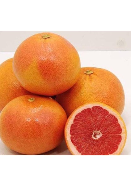 6'lı Fidan Kan Portakalı ,erkenci Portakal, W. Murcott Mandalina, Limon, Satsuma Mandalina, Greyfurt Fidanı 3-4 Yaş Fidanı Boy 120-150 cm fiyatları