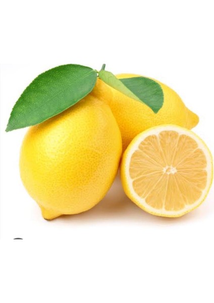 6'lı Fidan Kan Portakalı ,erkenci Portakal, W. Murcott Mandalina, Limon, Satsuma Mandalina, Greyfurt Fidanı 3-4 Yaş Fidanı Boy 120-150 cm fırsatları