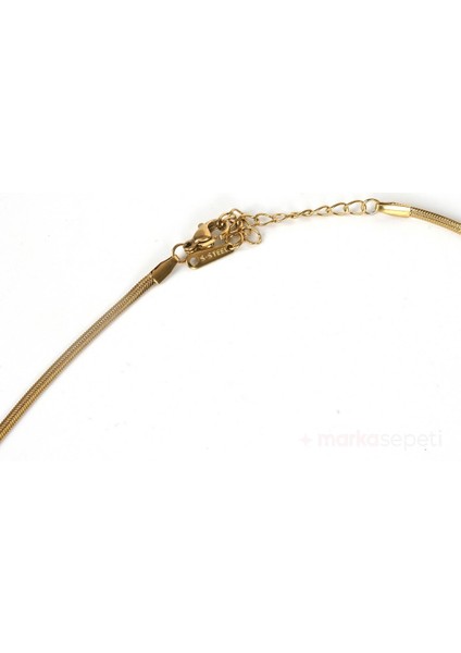 Astroloji Temalı Altın Kapalama Zirkon Detay Çelik Kolye fiyatları