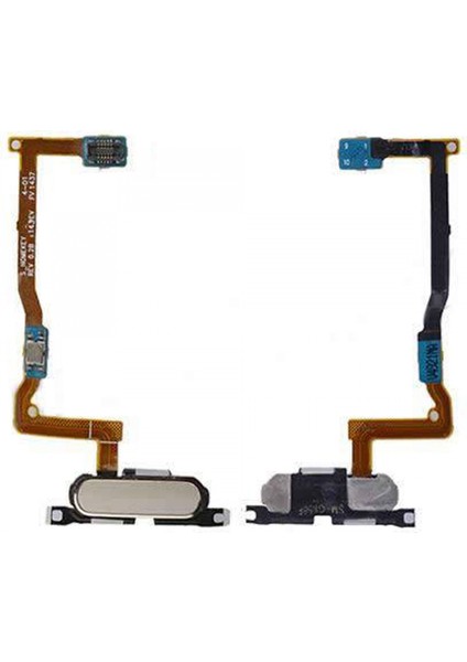 Teknonet Samsung Galaxy G850 Alpha Uyumlu Home Tuşu