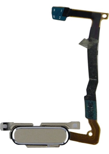 Teknonet Samsung Galaxy G850 Alpha Uyumlu Home Tuşu