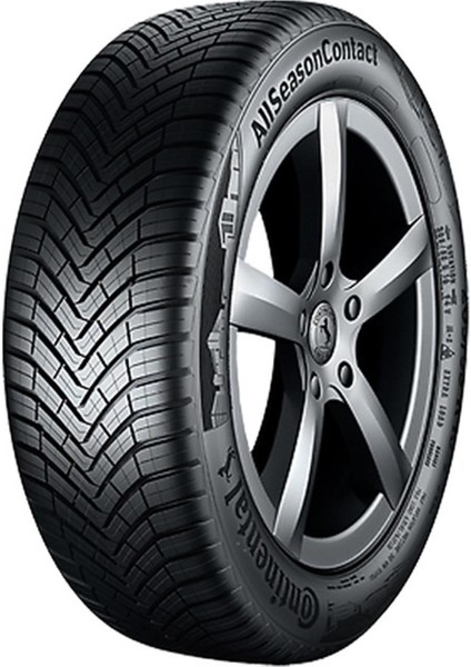 195/55 R16 91H Allseasoncontact 2 Xl Oto Dört Mevsim Lastiği (Üretim Yılı: 2024)