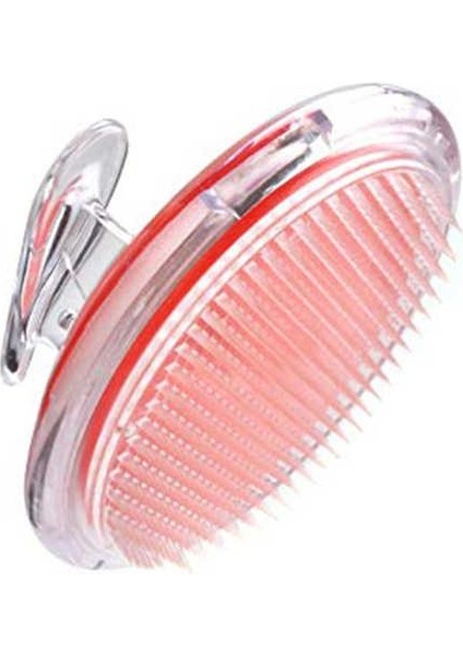 Şeffaf Ince Telli Baş Ve Peeling Vücut Masaj Fırçası, Masaj Aparatı