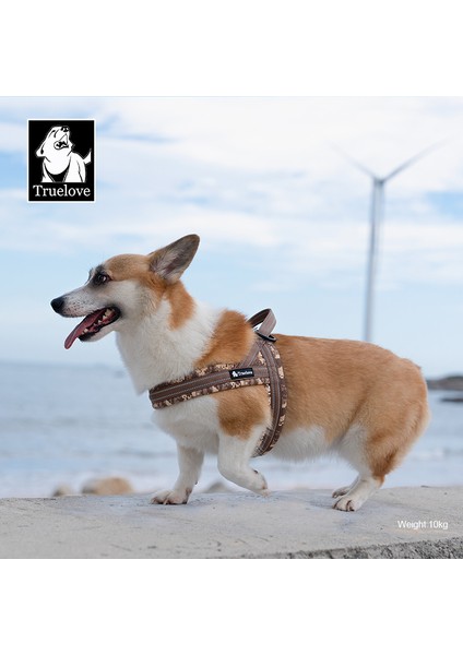 Blossom Kırmızı Köpek Göğüs Tasması modelleri