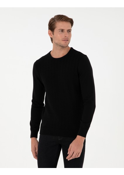 Erkek Siyah Slim Fit Bisiklet Yaka Triko Kazak 50300499-VR046