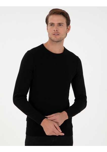 Erkek Siyah Slim Fit Bisiklet Yaka Triko Kazak 50300499-VR046 modelleri