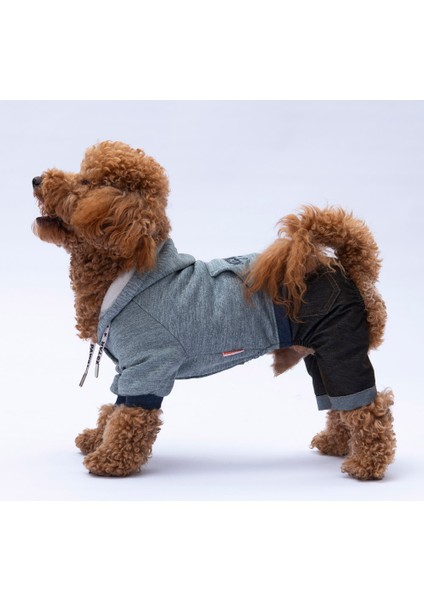 New York Kedi Köpek Kot Tulum