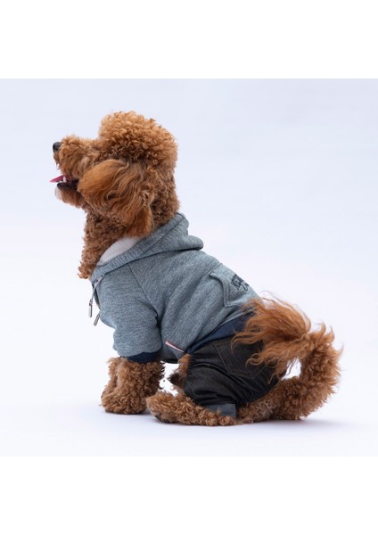 New York Kedi Köpek Kot Tulum fiyatları