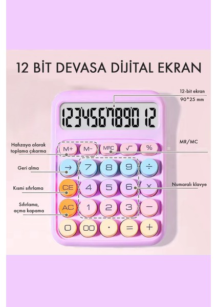 Renkli Hesap Makinesi - 12 Haneli Yuvarlak Tuşlu Mor Renk Hesap Makinesi - 4 Fonksiyonlu Pil Hediye fiyatları