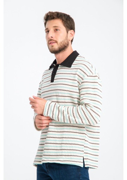 R-5839 Polo Yaka Uzun Kol Çizgili Örme Sweat fırsatları