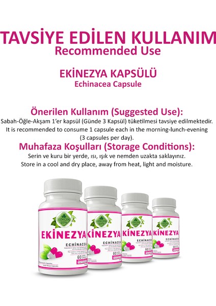 Şifa Ekinezya Kapsül (ECHİNACEA CAPSULE) fırsatları
