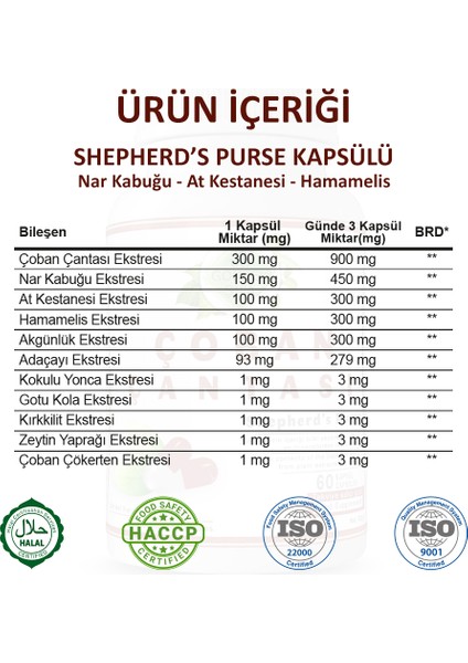 Şifa Çoban Çantası Kapsül (SHEPHERD'S PURSE CAPSULE)