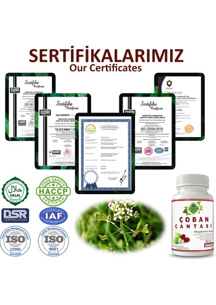 Şifa Çoban Çantası Kapsül (SHEPHERD'S PURSE CAPSULE)