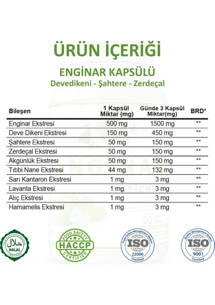 Şifa Enginar Kapsül (ARTİCHOKE CAPSULE)