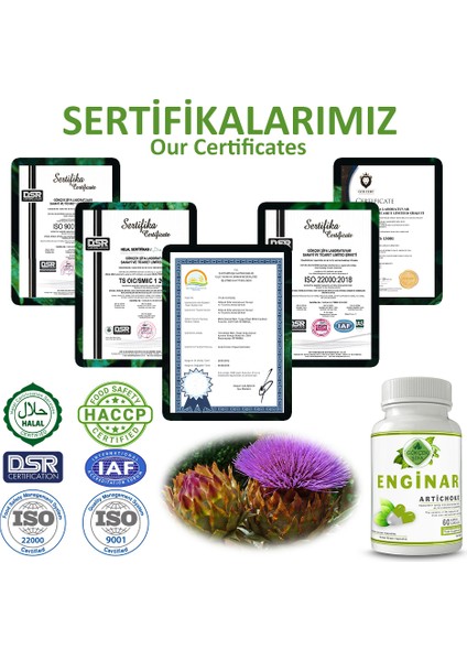 Şifa Enginar Kapsül (ARTİCHOKE CAPSULE)