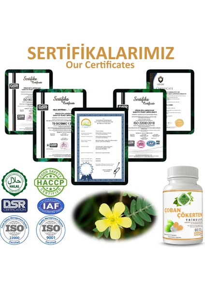 Şifa Çoban Çökerten Kapsül (TRİBULUS CAPSULE) indirimleri